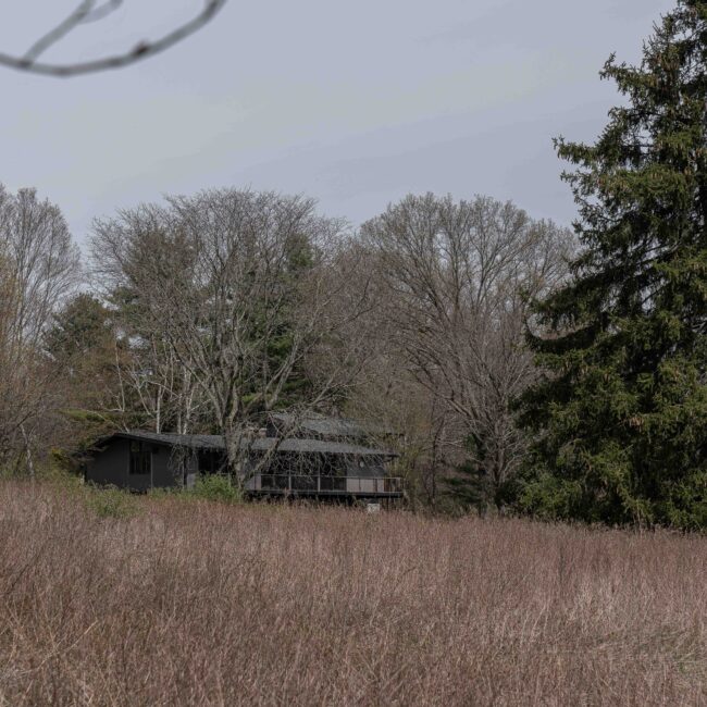 View from the meadow.