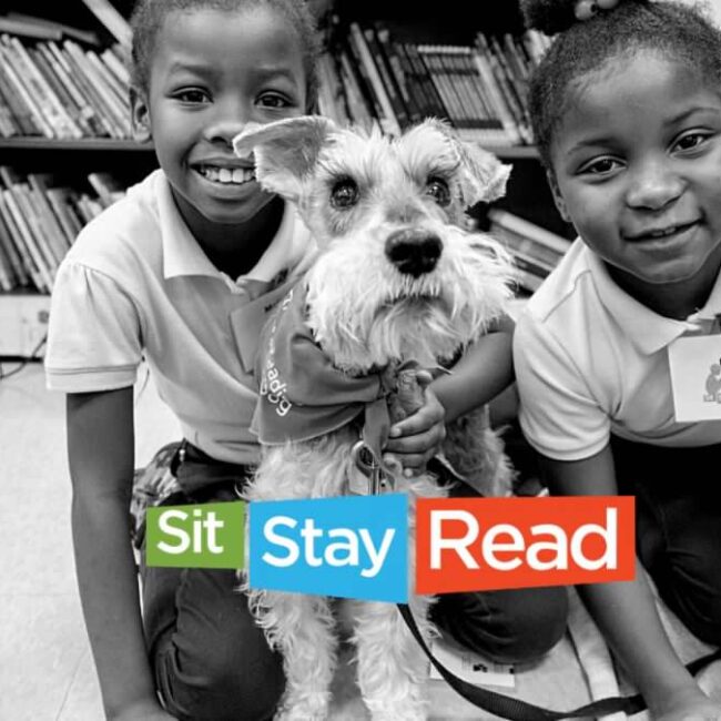 Boston has graced the cover of many Sit Stay Read brochures.