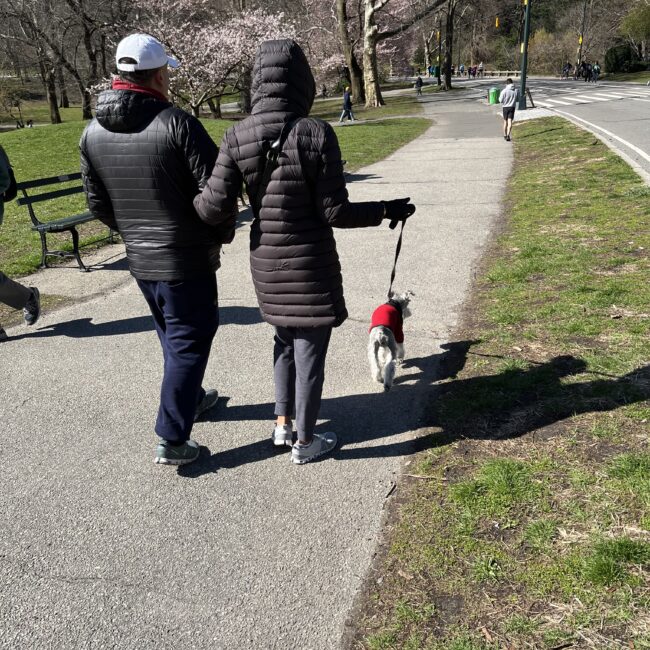 Family walk in Central Park.